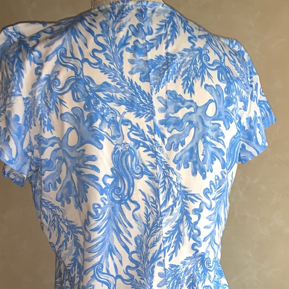 Lilly Pulitzer Brewster Dress - Picture 4 of 4